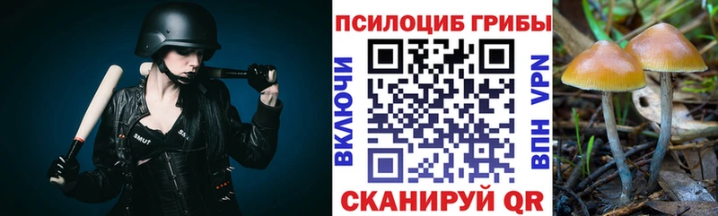 Псилоцибиновые грибы мицелий  Александровск-Сахалинский 